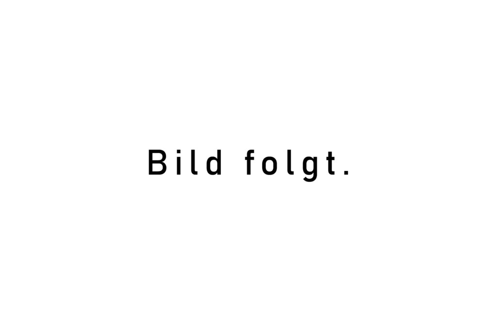 Unbenannt-1